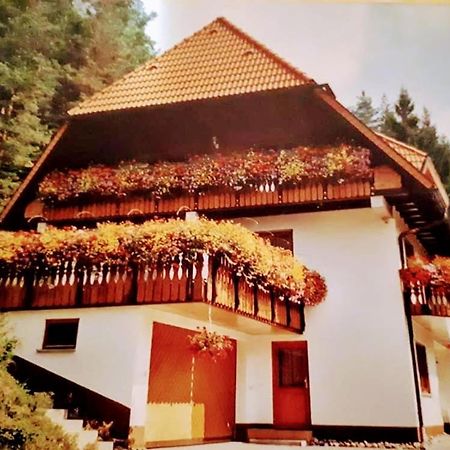 Ferienwohungen Im Kuchersbach Hornberg Luaran gambar