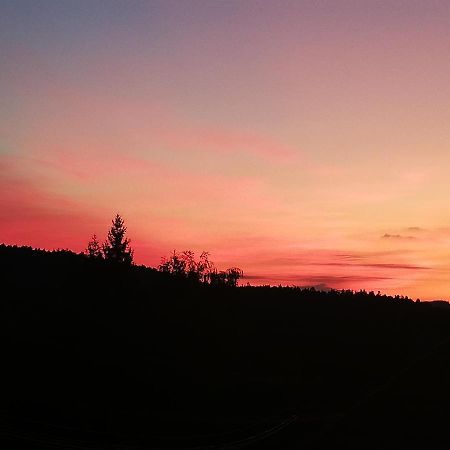 Ferienwohungen Im Kuchersbach Hornberg Luaran gambar