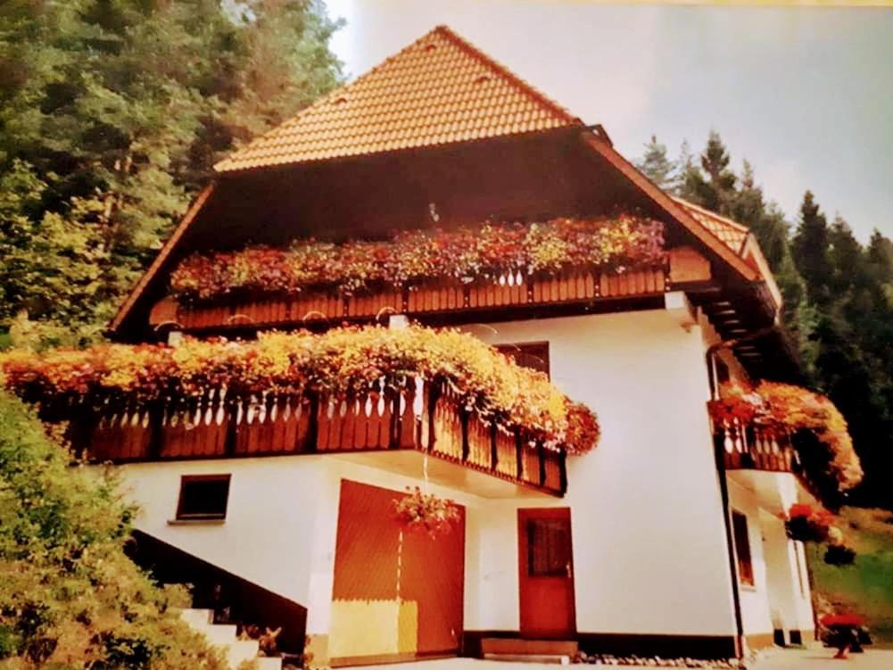 Ferienwohungen Im Kuchersbach Hornberg Luaran gambar
