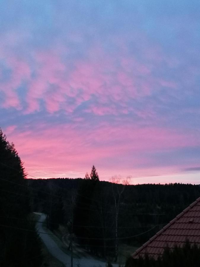 Ferienwohungen Im Kuchersbach Hornberg Luaran gambar