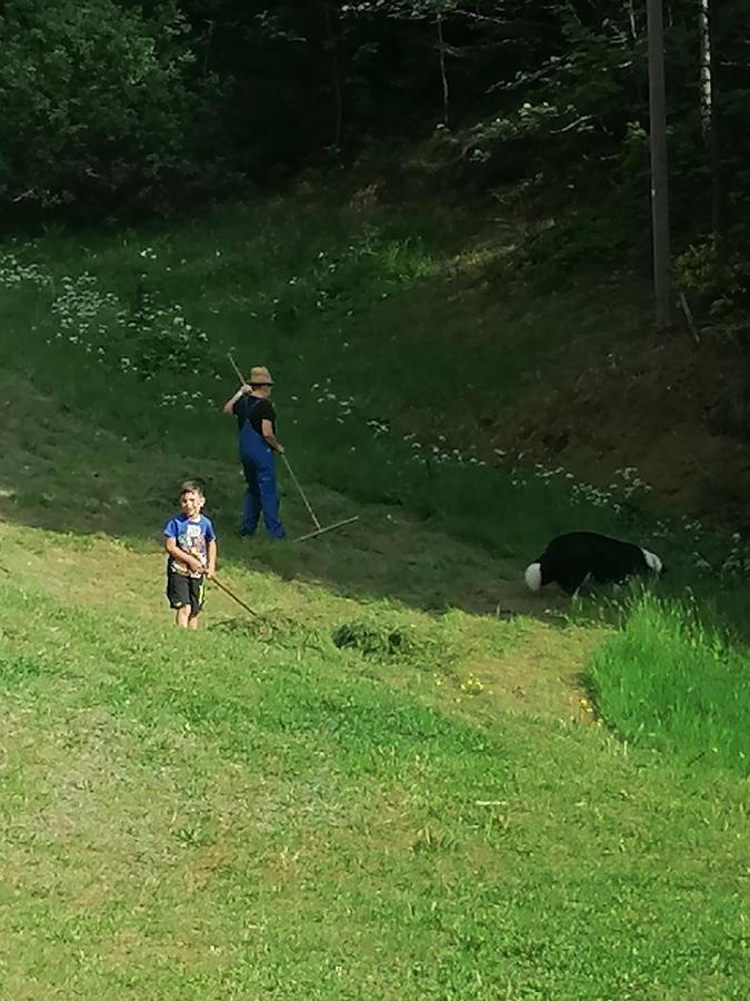 Ferienwohungen Im Kuchersbach Hornberg Luaran gambar