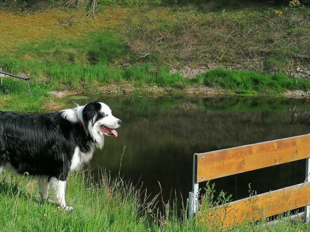 Ferienwohungen Im Kuchersbach Hornberg Luaran gambar