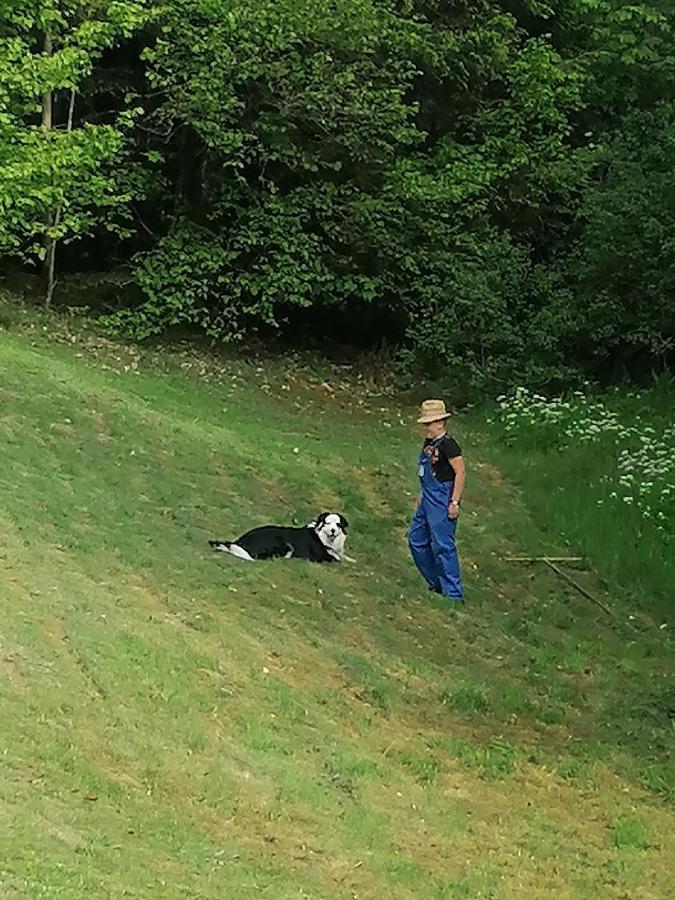 Ferienwohungen Im Kuchersbach Hornberg Luaran gambar