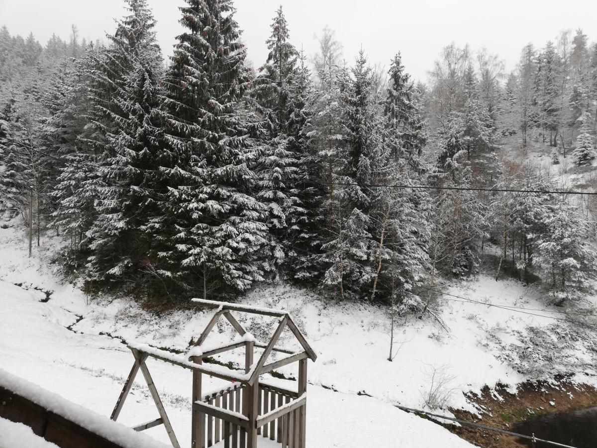 Ferienwohungen Im Kuchersbach Hornberg Luaran gambar