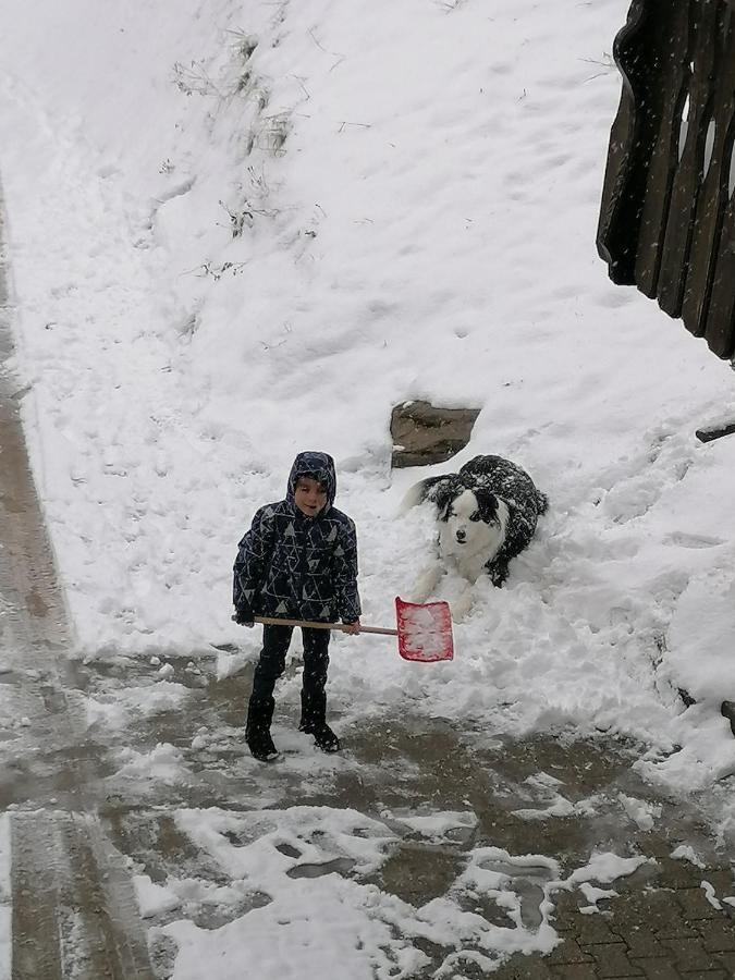 Ferienwohungen Im Kuchersbach Hornberg Luaran gambar