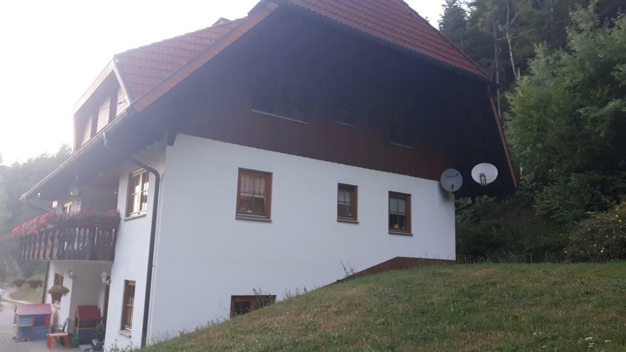 Ferienwohungen Im Kuchersbach Hornberg Luaran gambar